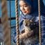 All cats on deck! The first cat cruise is setting sail in Singapore