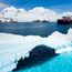 Bigger adventures await Hurtigruten Expeditions with global expansion