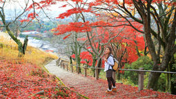 Japan is Singaporeans' top travel destination, followed by Malaysia and Thailand.